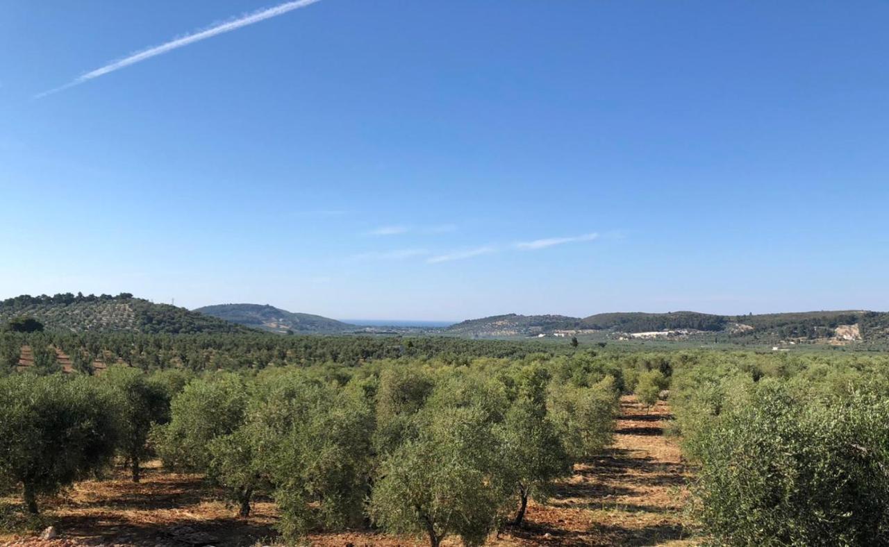 Borgo Rosoli Vieste Exteriér fotografie