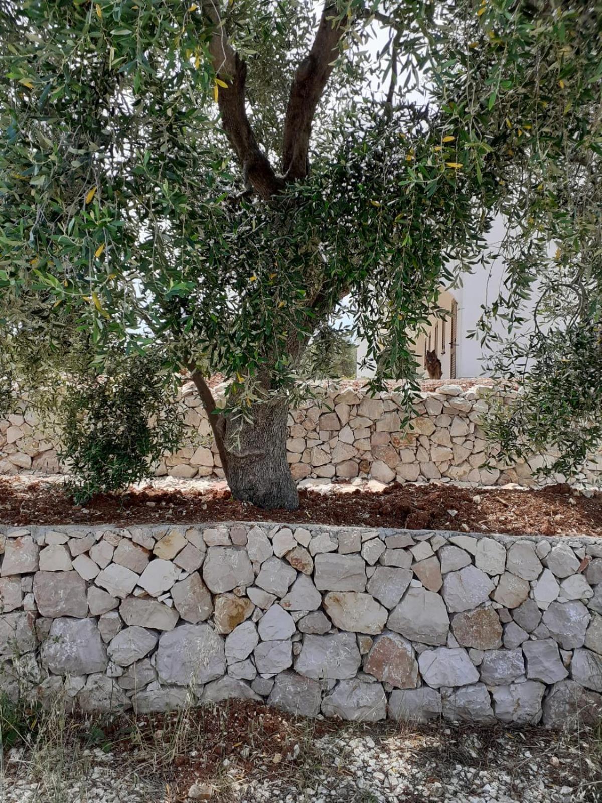 Borgo Rosoli Vieste Exteriér fotografie