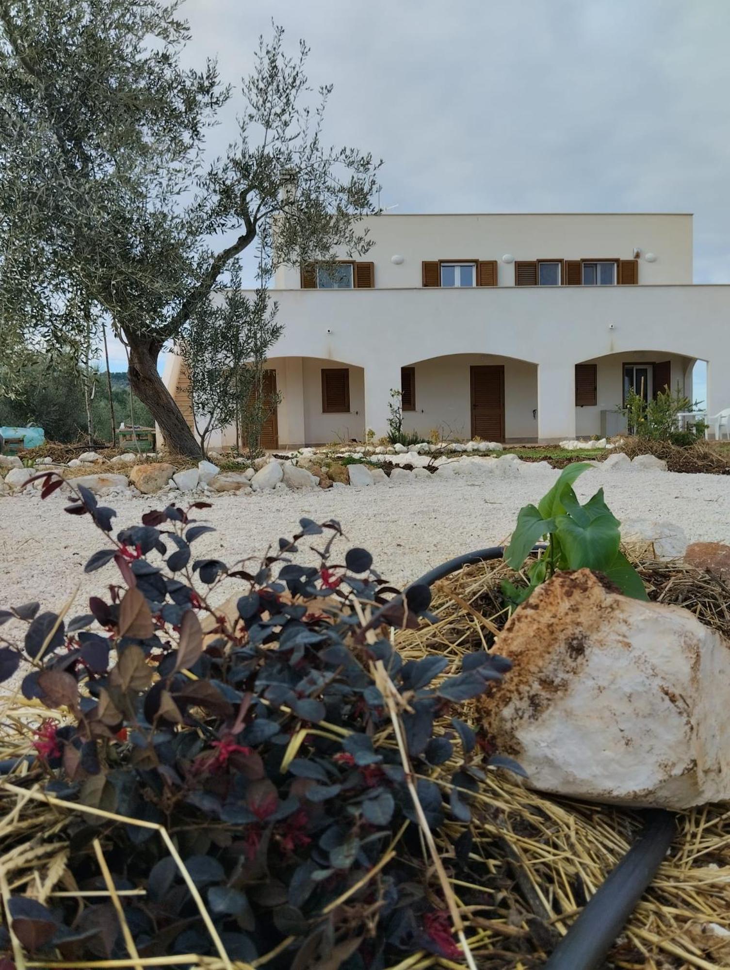 Borgo Rosoli Vieste Exteriér fotografie