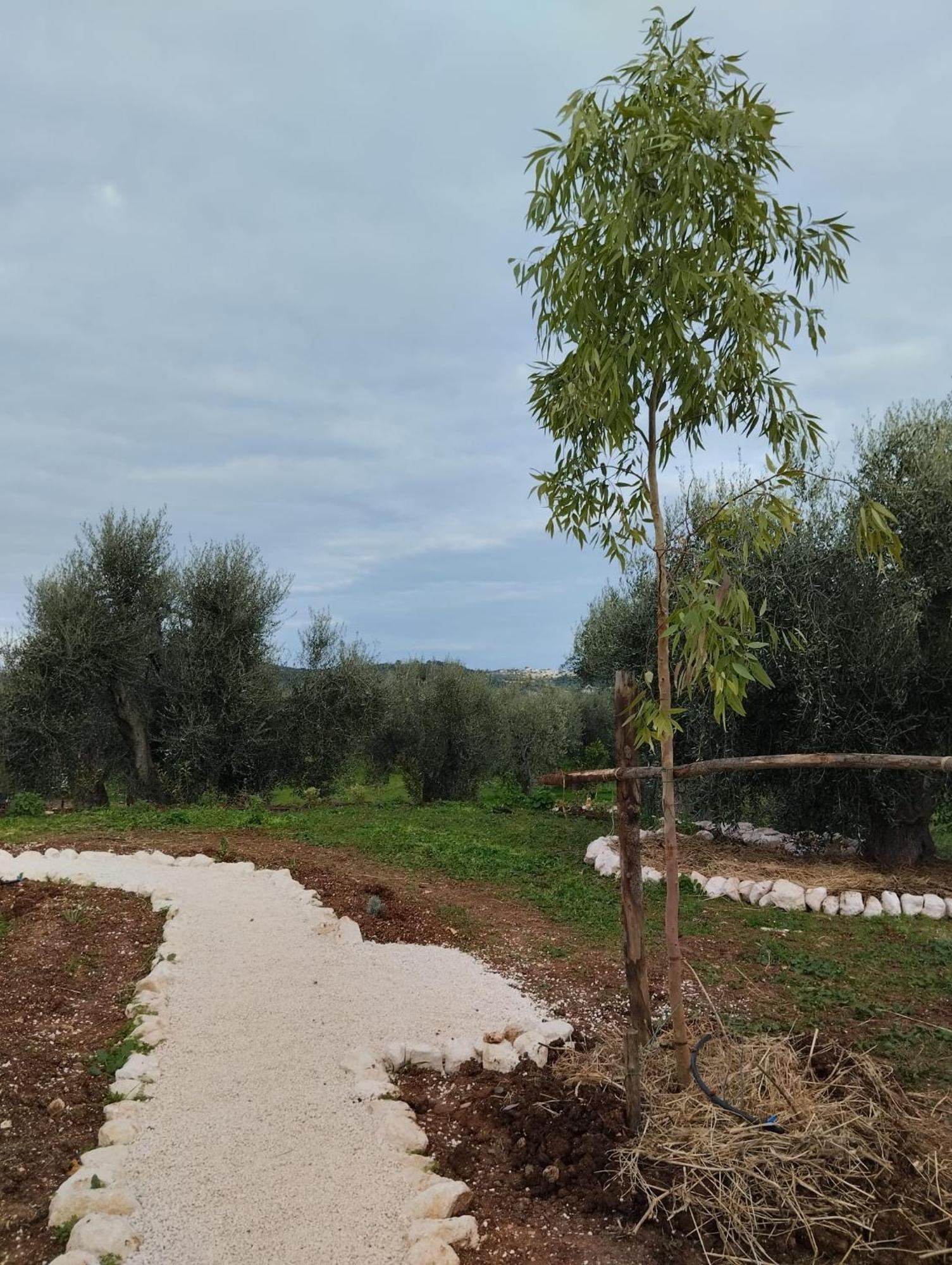 Borgo Rosoli Vieste Exteriér fotografie